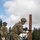 I Corps integrates Army's new weapons qualification