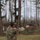 I Corps integrates Army’s new weapons qualification