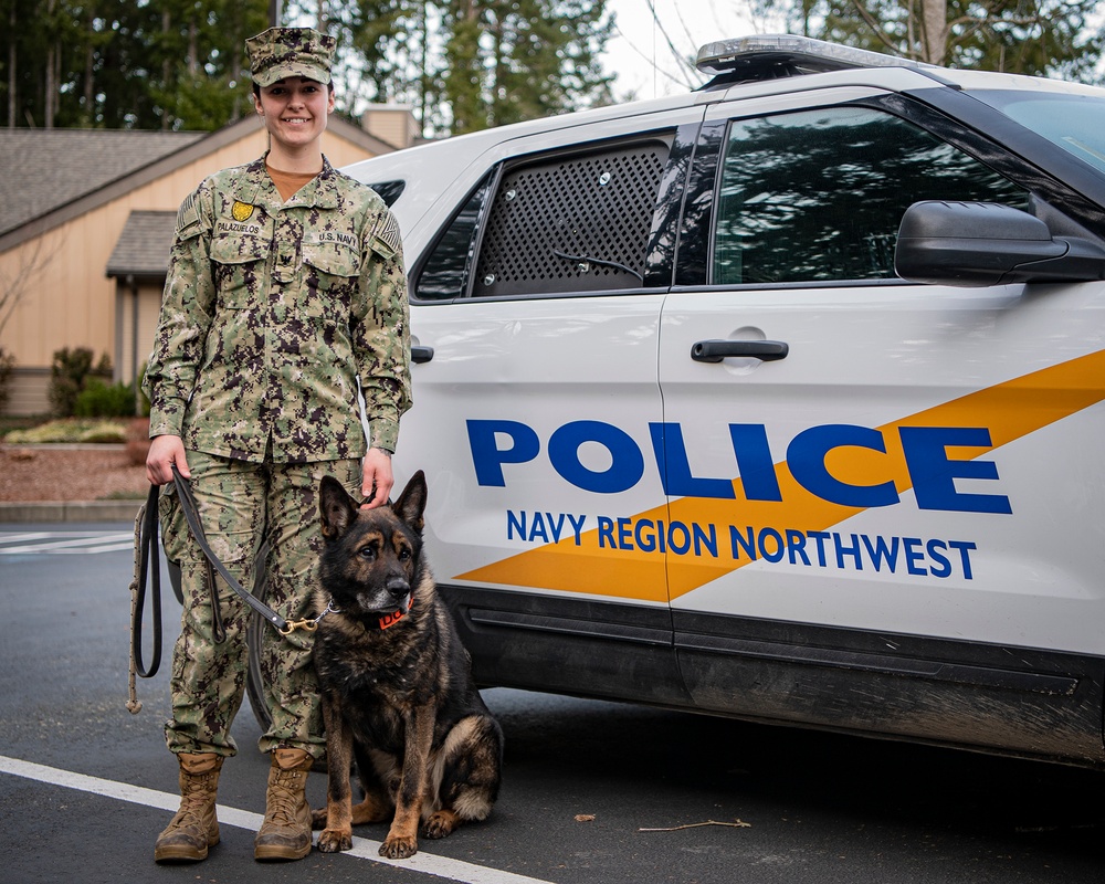 NBK Military Working Dogs showcase capabilities to local Girl Scout troop