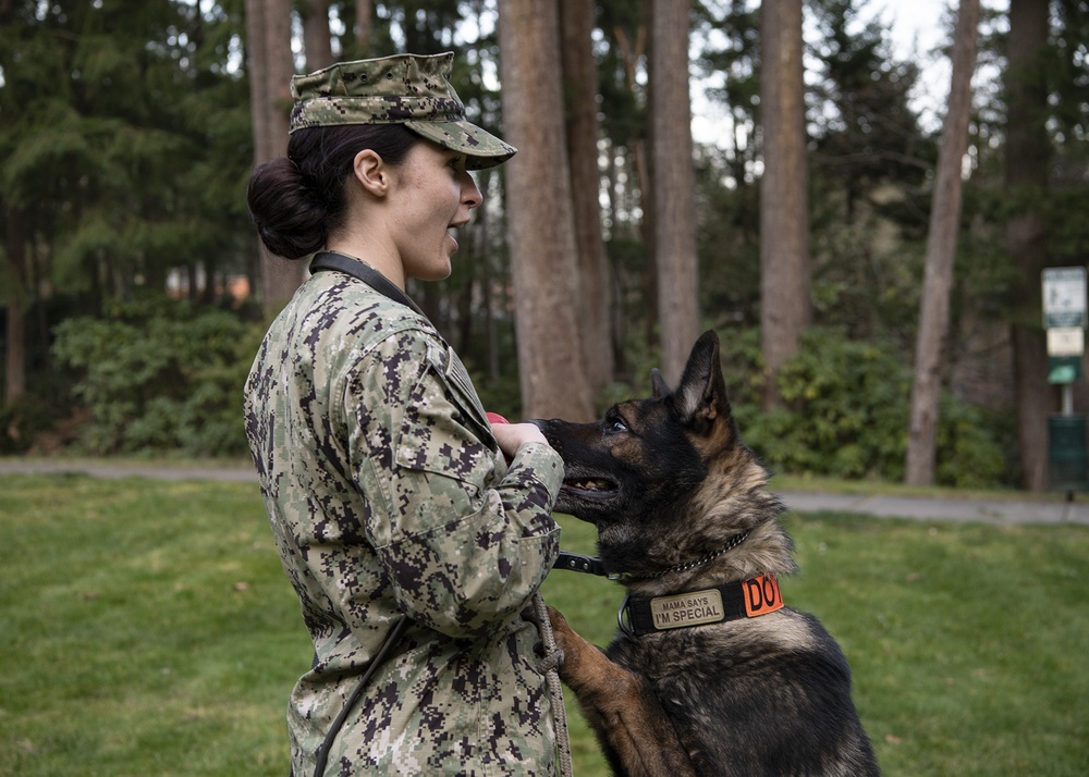 NBK Military Working Dogs showcase capabilities to local Girl Scout troop