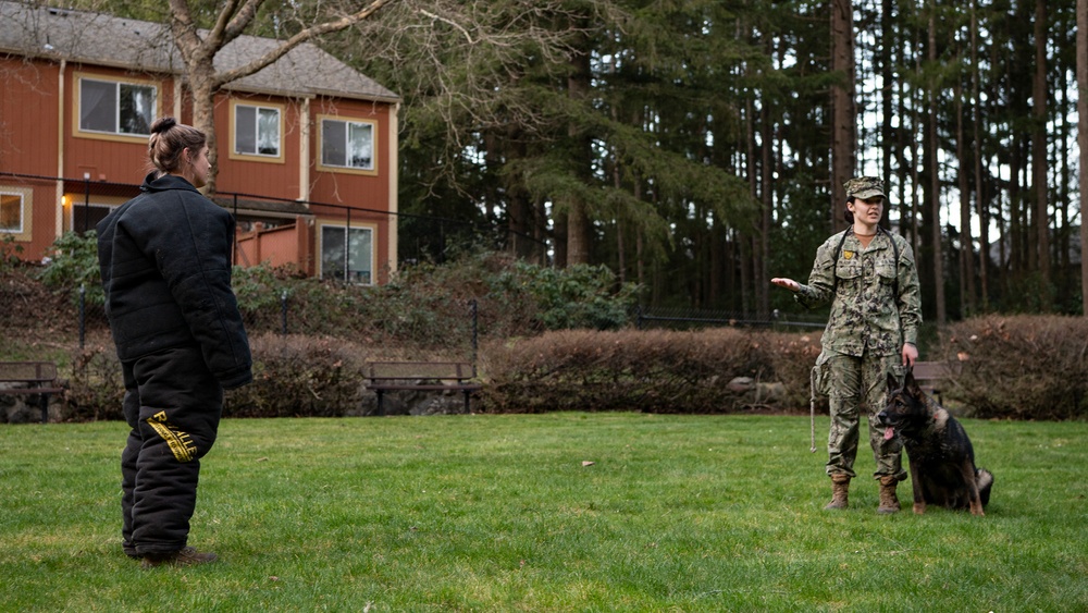 NBK Military Working Dogs showcase capabilities to local Girl Scout troop