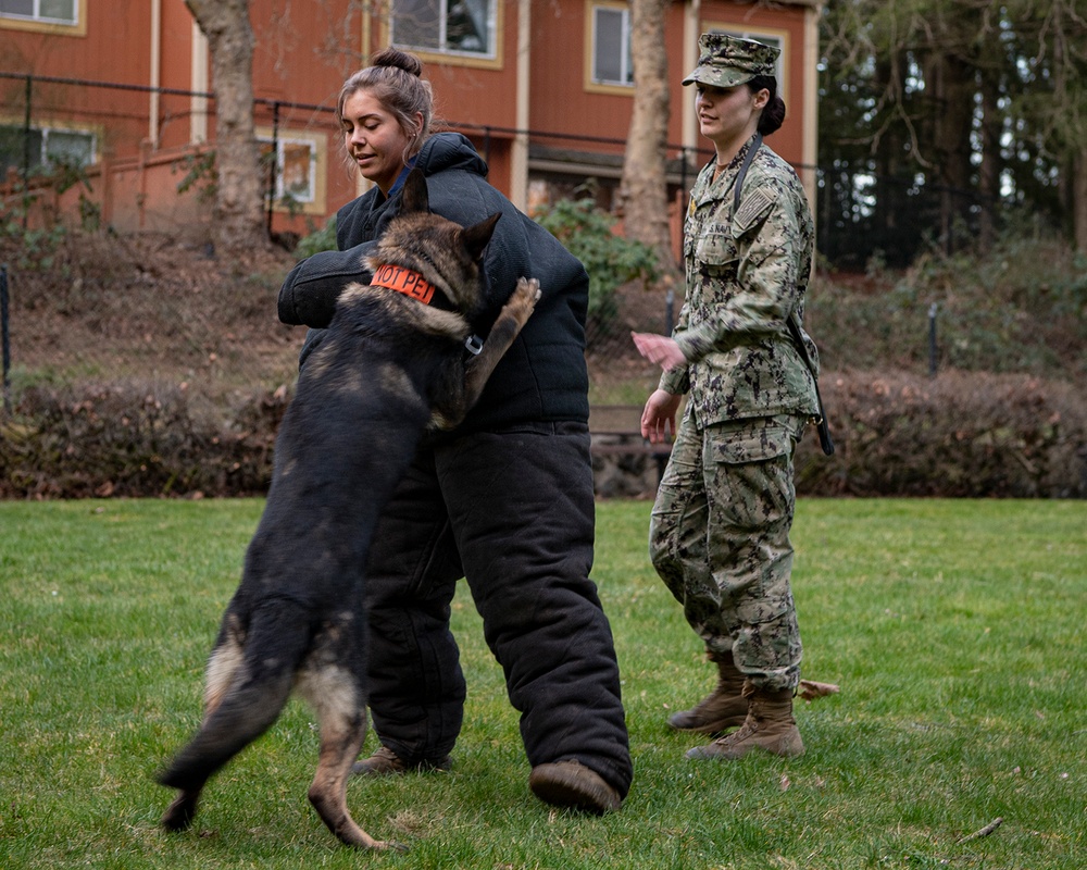 NBK Military Working Dogs showcase capabilities to local Girl Scout troop