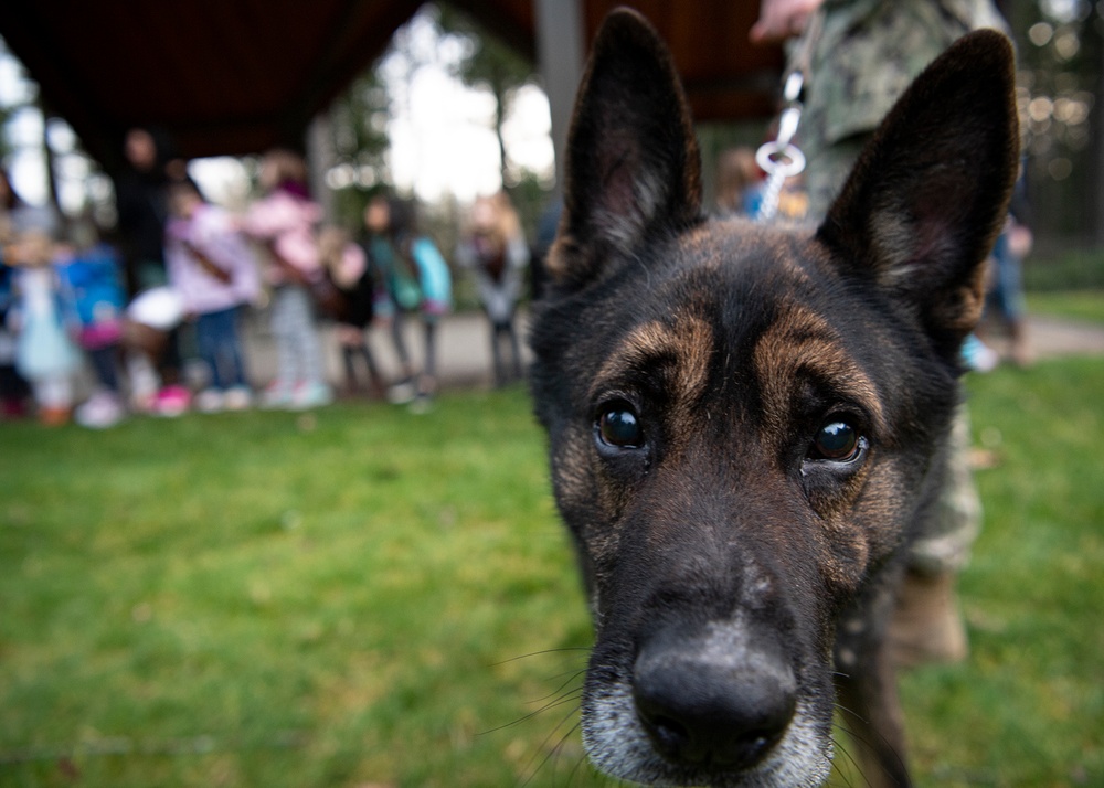 NBK Military Working Dogs showcase capabilities to local Girl Scout troop