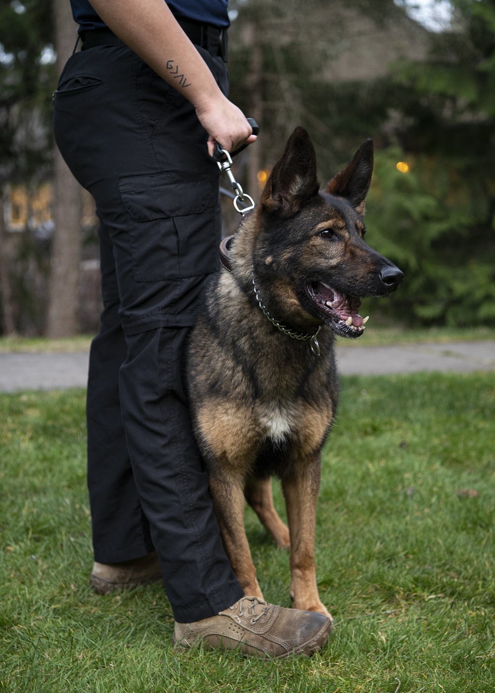 NBK Military Working Dogs showcase capabilities to local Girl Scout troop