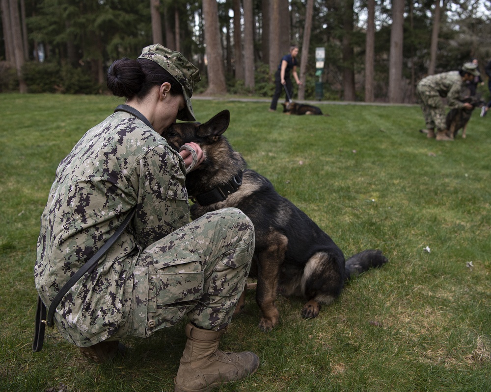 NBK Military Working Dogs showcase capabilities to local Girl Scout troop