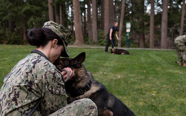 NBK Military Working Dogs showcase capabilities to local Girl Scout troop