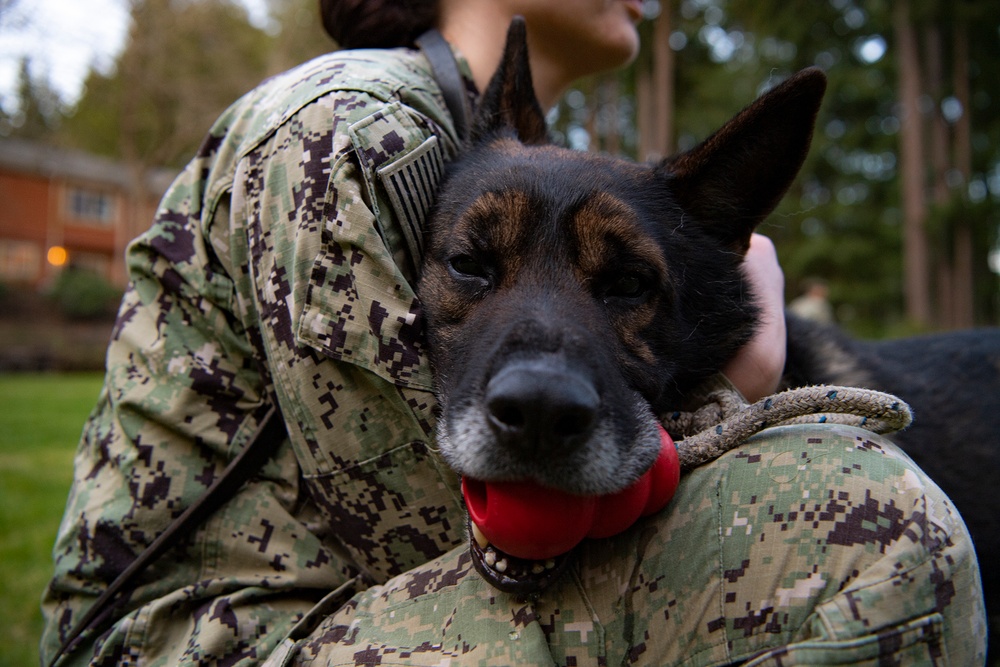 NBK Military Working Dogs showcase capabilities to local Girl Scout troop