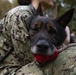 NBK Military Working Dogs showcase capabilities to local Girl Scout troop