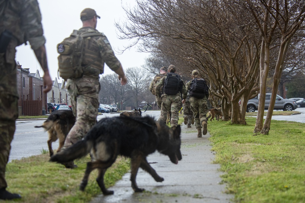 National K9 Veterans Day: honoring our four-legged warriors