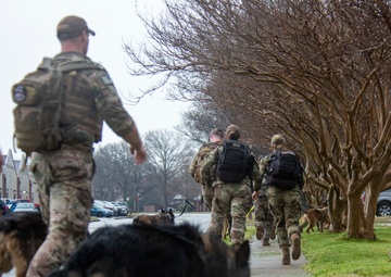 National K9 Veterans Day: honoring our four-legged warriors