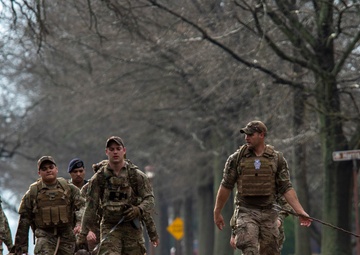 National K9 Veterans Day: honoring our four-legged warriors