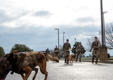 National K9 Veterans Day: honoring our four-legged warriors