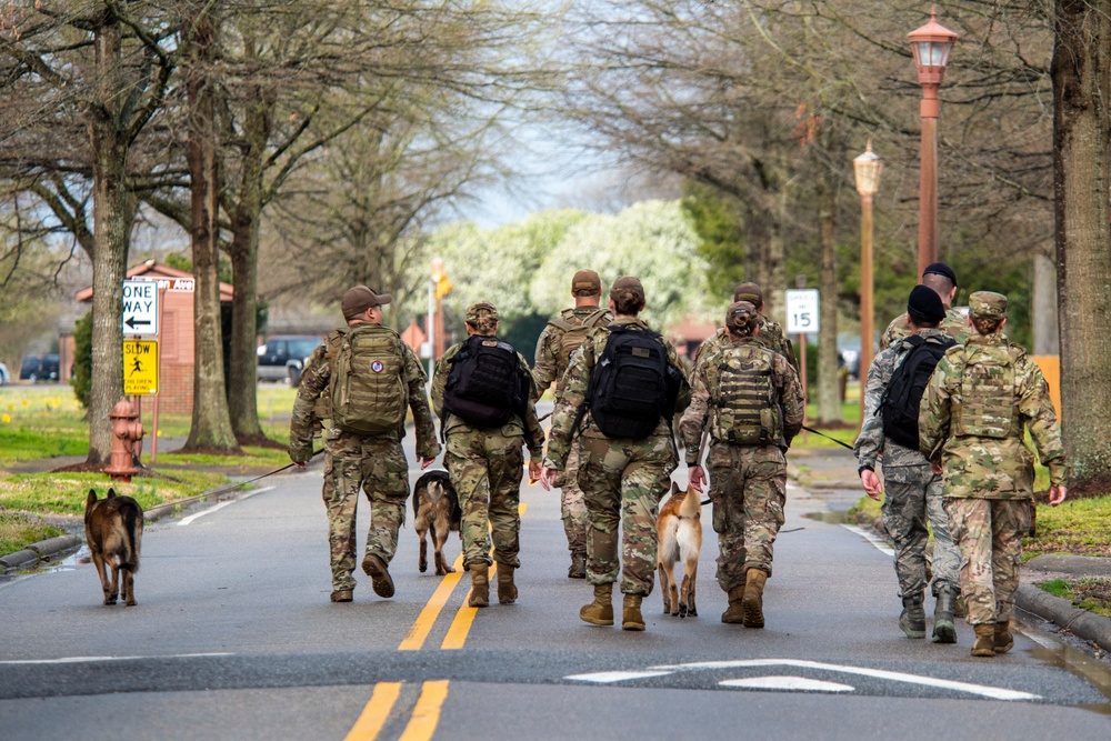 National K9 Veterans Day: honoring our four-legged warriors