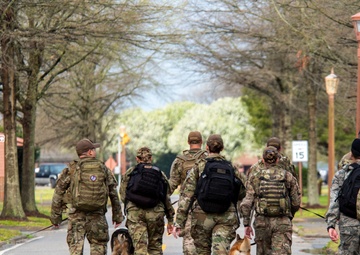 National K9 Veterans Day: honoring our four-legged warriors