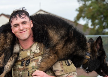 National K9 Veterans Day: honoring our four-legged warriors