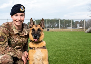 National K9 Veterans Day: honoring our four-legged warriors