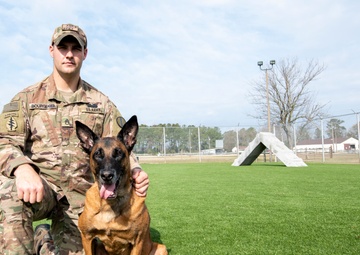 National K9 Veterans Day: honoring our four-legged warriors