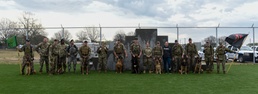 National K9 Veterans Day: honoring our four-legged warriors
