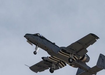 2020 Heritage Flight Training Course: A-10 Demo Team