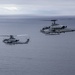 Whiskey Sundown: Super Cobra takes last flight on West Coast