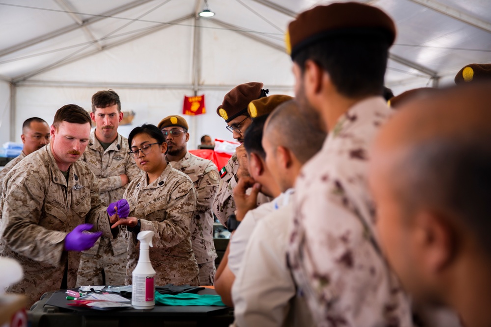 UAE Armed Forces and U.S. Navy Exchange Medical practices at NF20