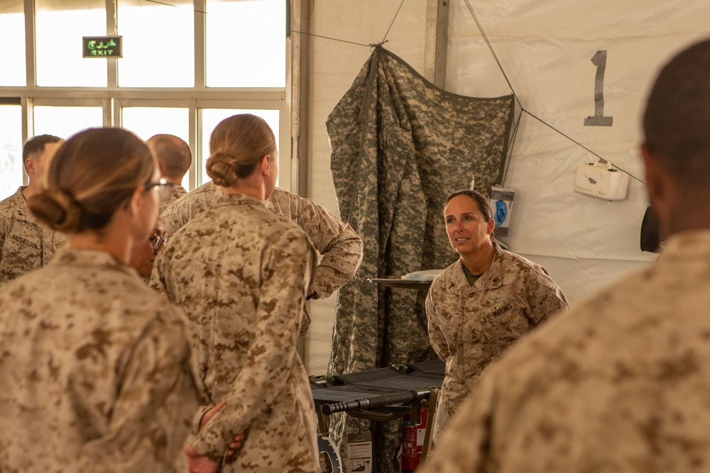 1st MLG Leadership visits UAE during exercise Native Fury 20