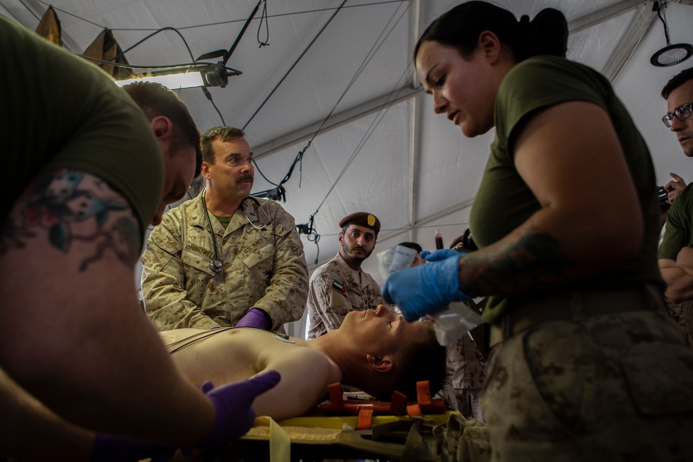 U.S. Corpsmen and UAE Soldiers exchange Medical practices During Native Fury 20