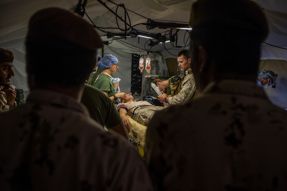 U.S. Corpsmen and UAE Soldiers exchange Medical practices During Native Fury 20