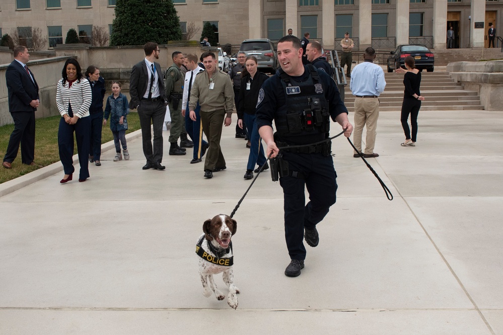 Deputy Secretary of Defense hosts K-9 Appreciation Day