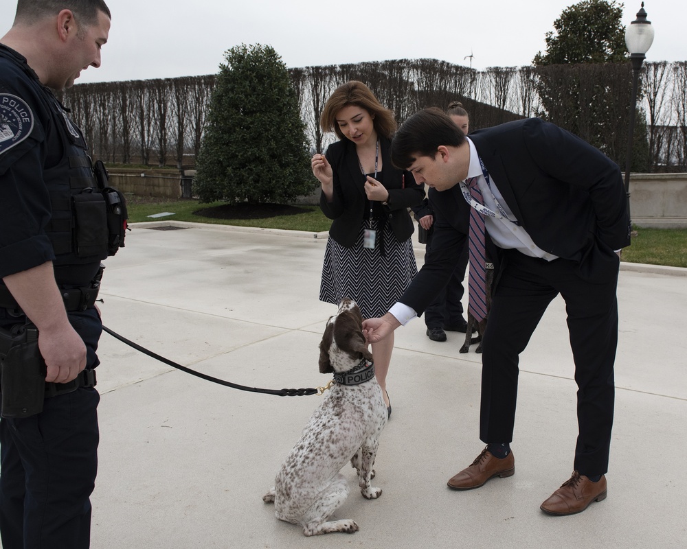 Deputy Secretary of Defense hosts K-9 Appreciation Day