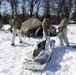 Cold-Weather Operations Course Class 20-04 training at Fort McCoy