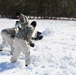 Cold-Weather Operations Course Class 20-04 training at Fort McCoy