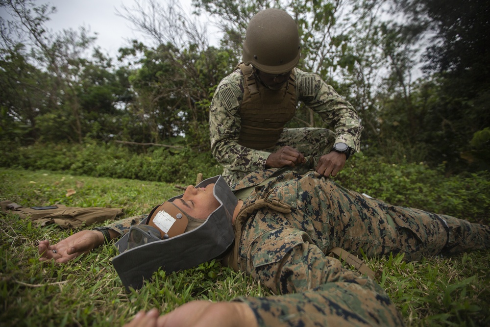 HMLA-369 Conducts CASEVAC Training