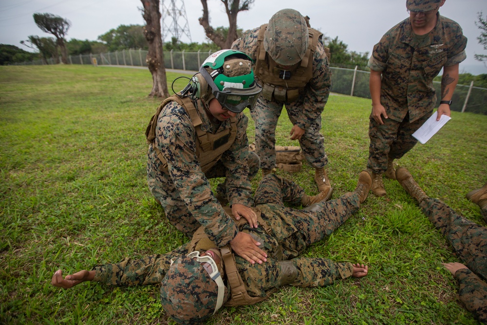 DVIDS - Images - HMLA-369 Conducts CASEVAC Training [Image 7 of 24]