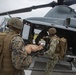 HMLA-369 Conducts CASEVAC Training