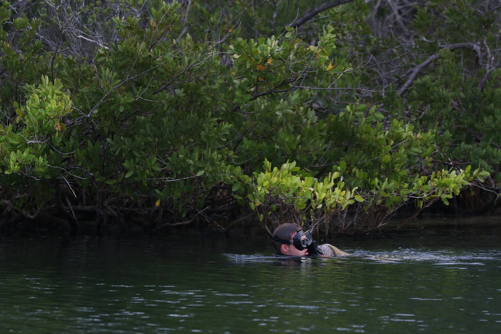 Dive School Students Take Part in Culmination Exercise