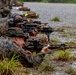 U.S. Marines conduct marksmanship drills