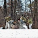 Cold-Weather Operations Course students practice building Arctic tent