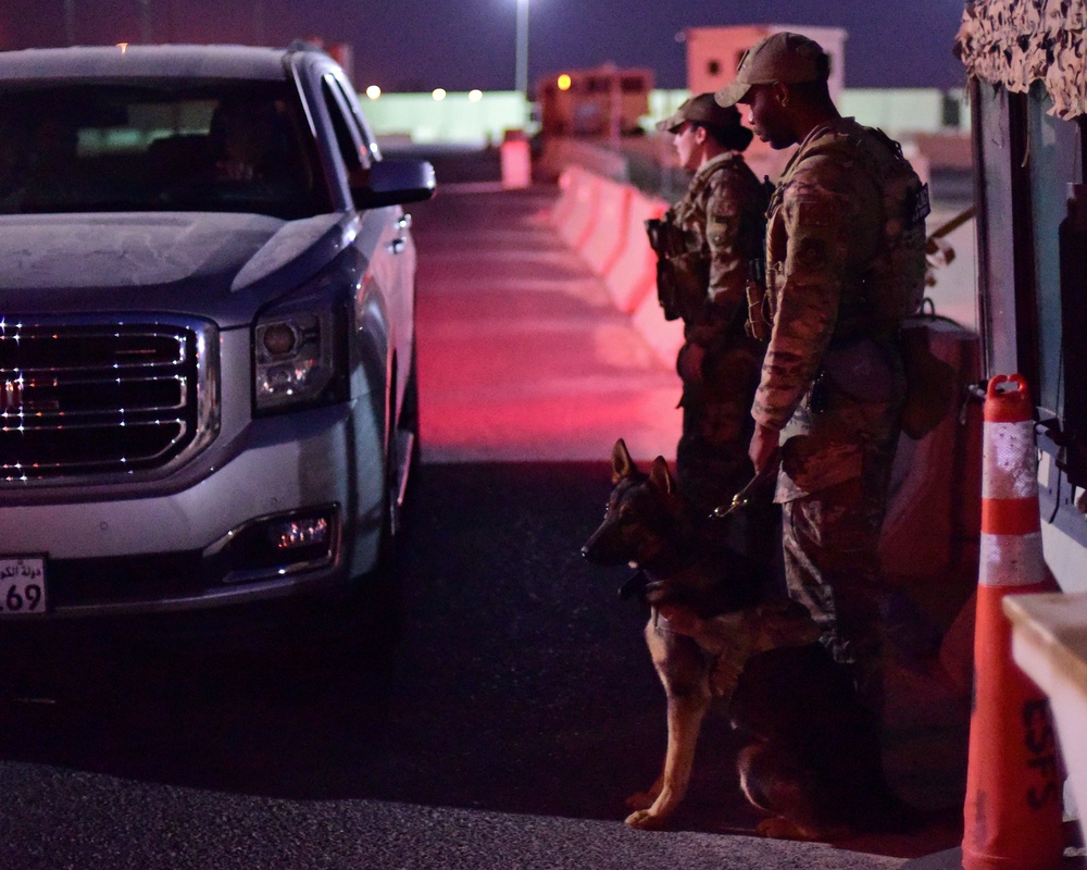 386th ESFS: Ensuring Base Safety
