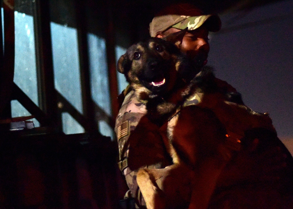 386th ESFS: Ensuring Base Safety