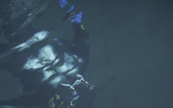 U.S. Navy dives in Norway