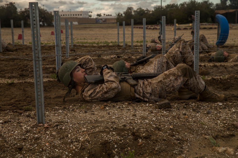 Alpha Company Bayonet Assault Course/ Pugil Sticks