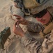 U.S. Marines and UAE Soldiers Conduct Claymore Training