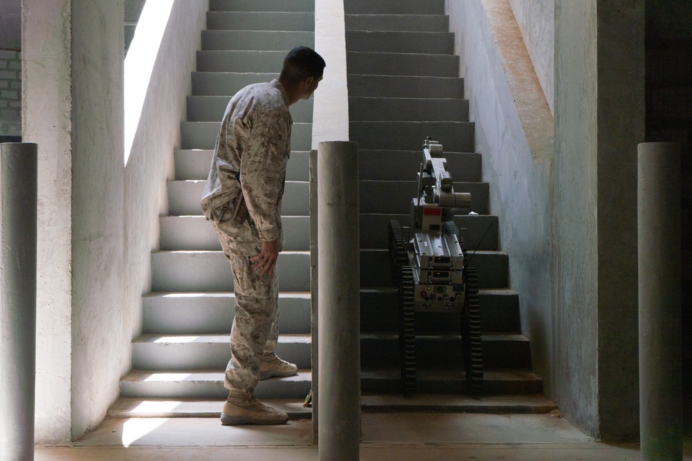 EOD Marines work with UAE Armed Forces during Native Fury 20