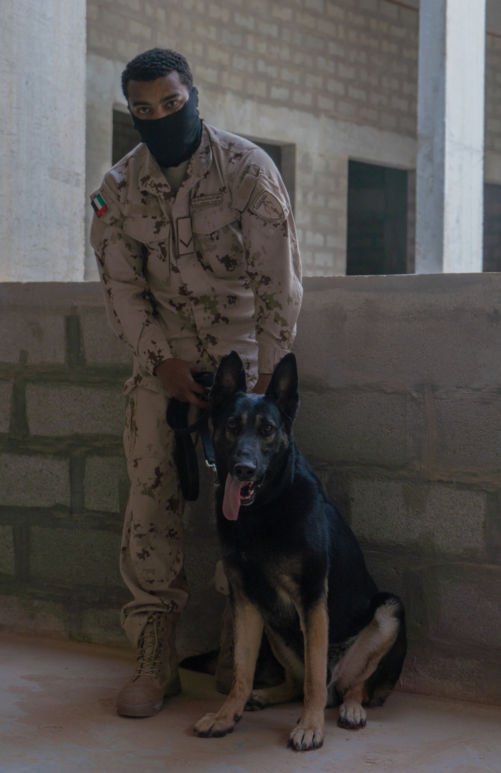 EOD Marines work with UAE Armed Forces during Native Fury 20