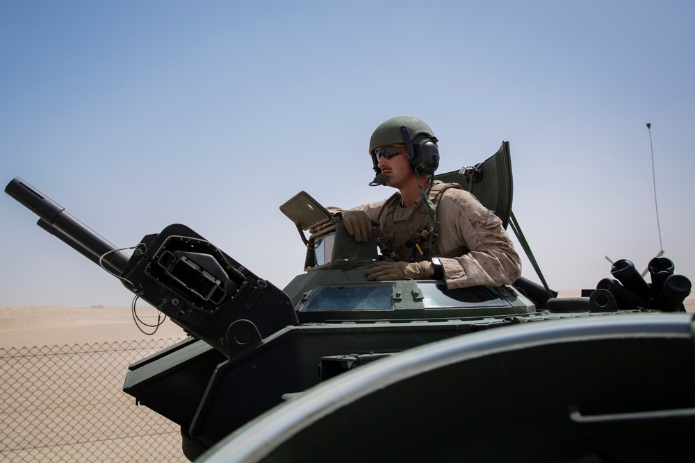 UAE and U.S. Armed Forces conduct a live fire and movement drill during Native Fury 20