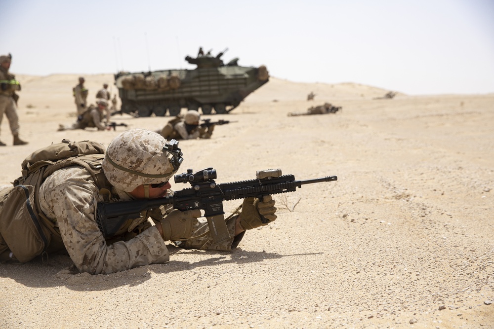 UAE and U.S. Armed Forces conduct a live fire and movement drill during Native Fury 20