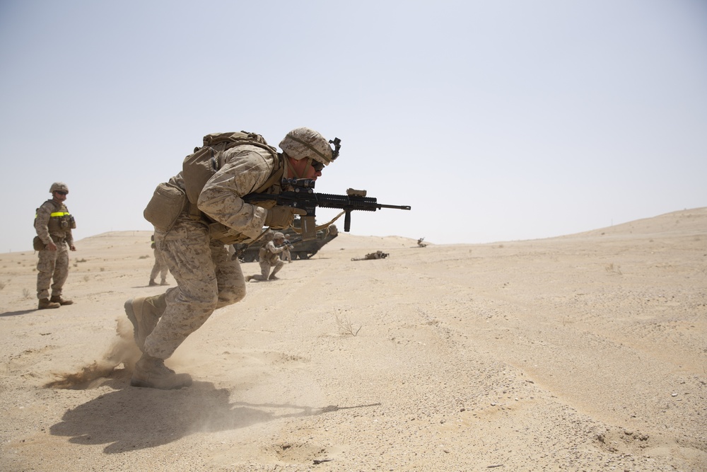 UAE and U.S. Armed Forces conduct a live fire and movement drill during Native Fury 20