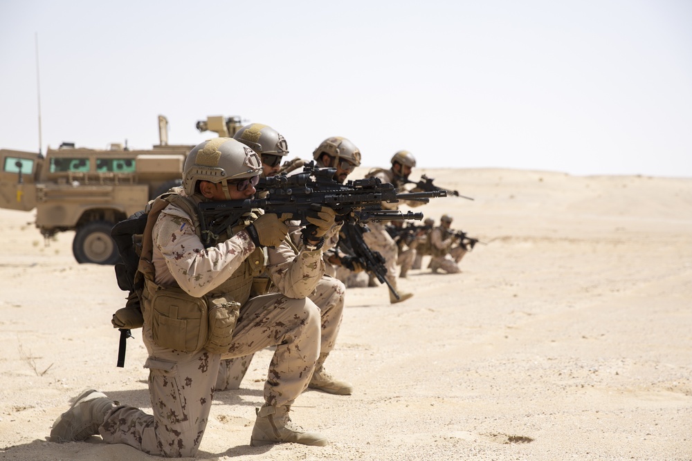 UAE and U.S. Armed Forces conduct a live fire and movement drill during Native Fury 20