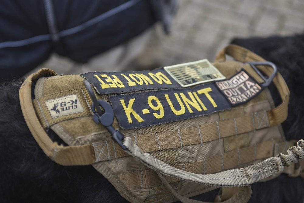 Mildenhall SFS hosts ruck march for MWD K9 Memorial Day